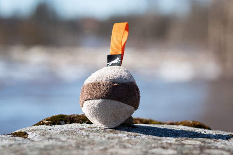 Koira selvästi ilahtuu!