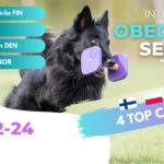 International Obedience Seminar cover
