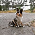 FB_IMG_1659770543876