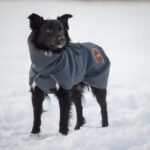 SporttiPalttoo harmaa-oranssi koiran takki aussieuros koko 55 cm
