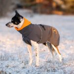 SporttiPalttoo harmaa-oranssi koko 55 cm kaulus alhaalla