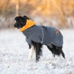 SporttiPalttoo harmaa-oranssi koko 60 cm kaulus taitettuna