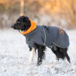 SporttiPalttoo harmaa-oranssi koko 60 cm kaulus taitettuna alempana