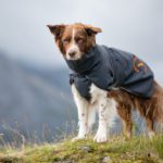 SporttiPalttoo kotimainen huippulaatuinen koiran sadetakki harmaa-oranssi
