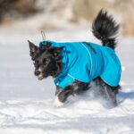 Bc ja sininen ProPalttoo koko 60 cm