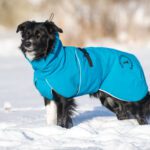 Koon 60 cm sininen ProPalttoo