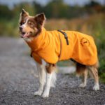 Kotimainen ProPalttoo koiran talvitakki oranssi bordercollie