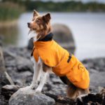 Kotimainen koiran takki ProPalttoo oranssi bordercollie