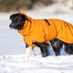 Oranssi ProPalttoo koiran talvitakki koko 60 cm