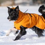Oranssi ProPalttoo koiran talvitakki koko 60 cm ja iso bc
