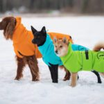 ProPalttoo koiran takit kotimaiset oranssi turkoosi ja vihrea