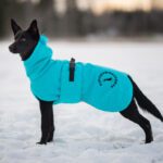 ProPalttoo koiran takki turkoosi 45 cm kelpienarttu