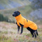 ProPalttoo kotimainen koiran takki oranssi