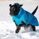 ProPalttoo sininen koiran talvitakki kotimainen koko 60 cm