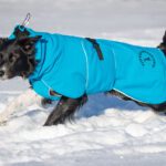 Sininen ProPalttoo koiran talvitakki
