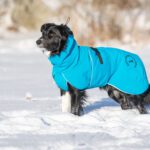 Sininen ProPalttoo koiran talvitakki kotimainen koko 60 cm