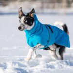 Sininen ProPalttoo koko 55 cm