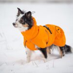 bordercollienarttu 50 cm ProPalttoo koiran takki oranssi