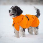 kotimainen koiran takki ProPalttoo oranssi koko 50 cm perrouros