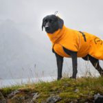 Premium-laatuinen suomalainen koiran takki ProPalttoo oranssi