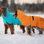 setterit oranssi 55 cm ja turkoosi 60 cm ProPalttoo koiran takit