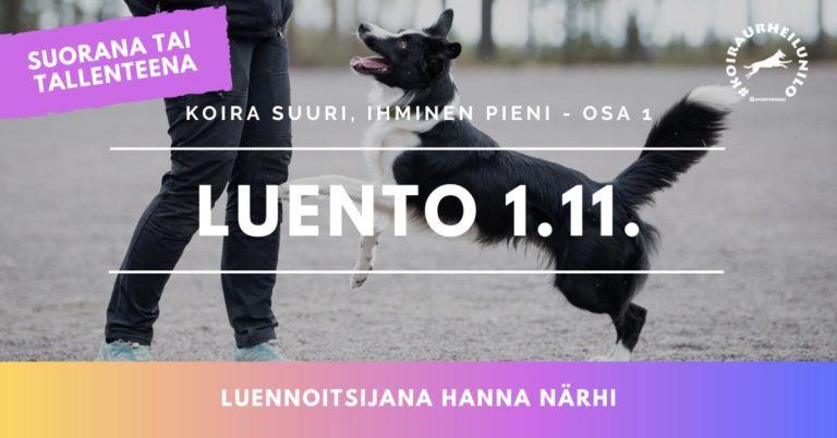 Nettiluento ti 1.11. klo 18.30 – Koira suuri, ihminen pieni – osa 1