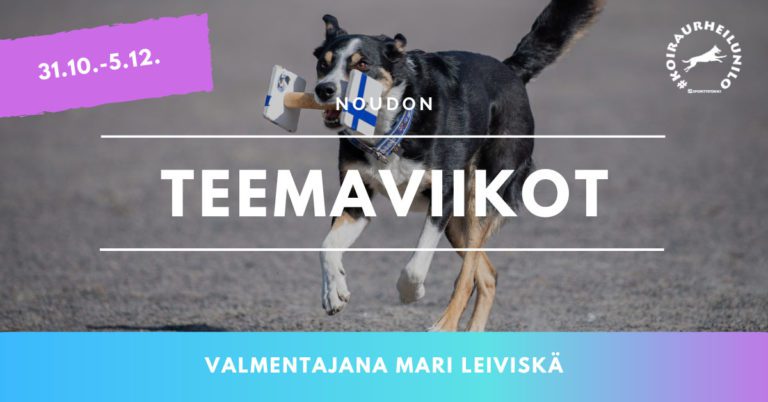 Noudon teemaviikot 31.10.-5.12.