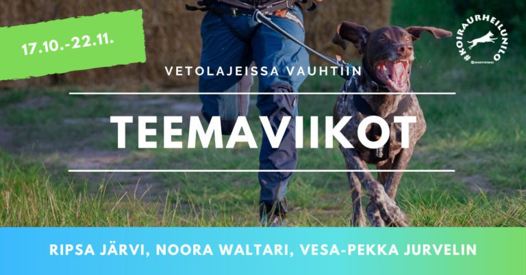 Vetolajeissa vauhtiin -teemaviikot 17.10.-22.11.