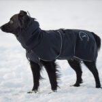 SporttiPalttoo musta koiran takki aussieuros koko 55 cm