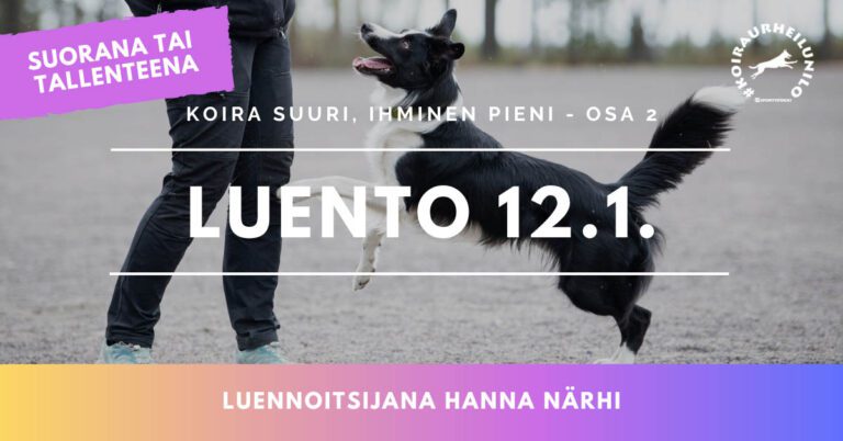 Nettiluento to 12.1. klo 18.30 – Koira suuri, ihminen pieni – osa 2