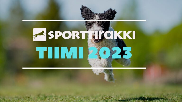 Tiimihaku vuodelle 2023 avoinna 20.12. asti