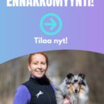 sivubanneri liivien ennakkomyynti