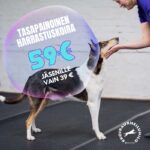 tasapainoinen harrastuskoira tuotekorttikuva – 1