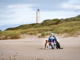 Blåvand Strand Tanska, Jyllannin rannikot koiran kanssa matkaillessa