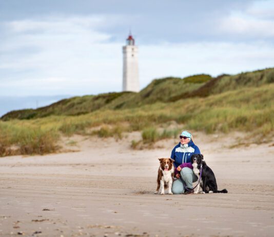 Blåvand Strand Tanska, Jyllannin rannikot koiran kanssa matkaillessa