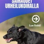 Copy of urheilukoiran luustosairaudet sivubanneri – 1