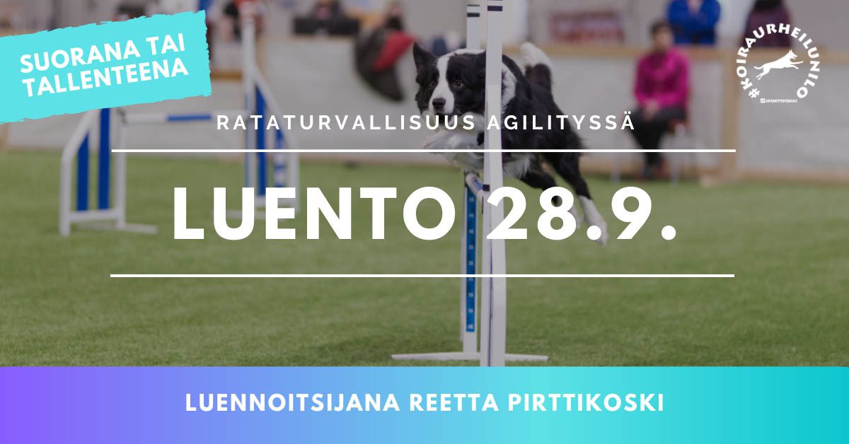 agilityn rataturvallisuus nettiluento