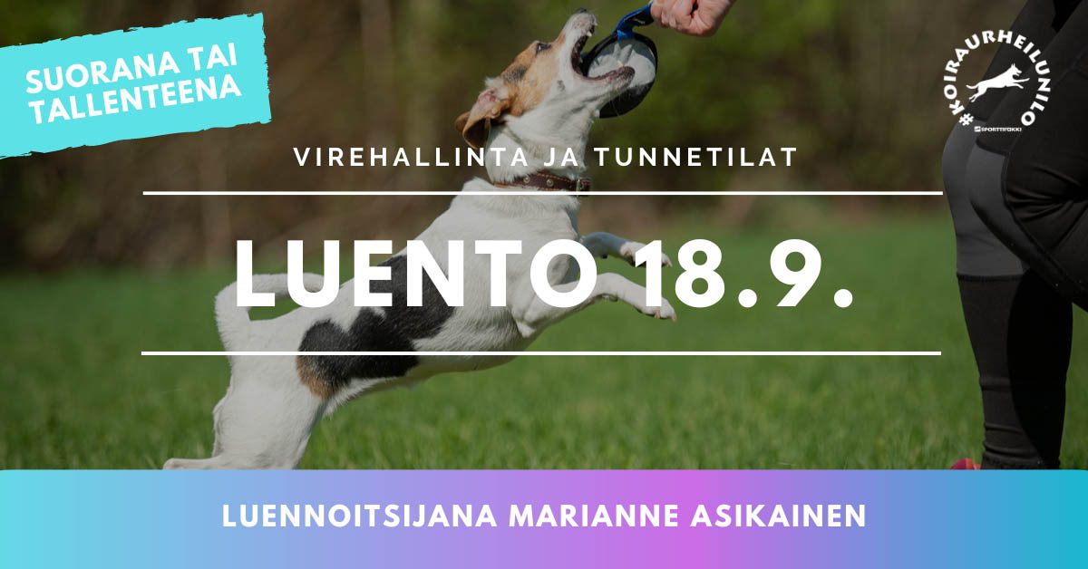 vireenhallinta ja tunnetilat luento