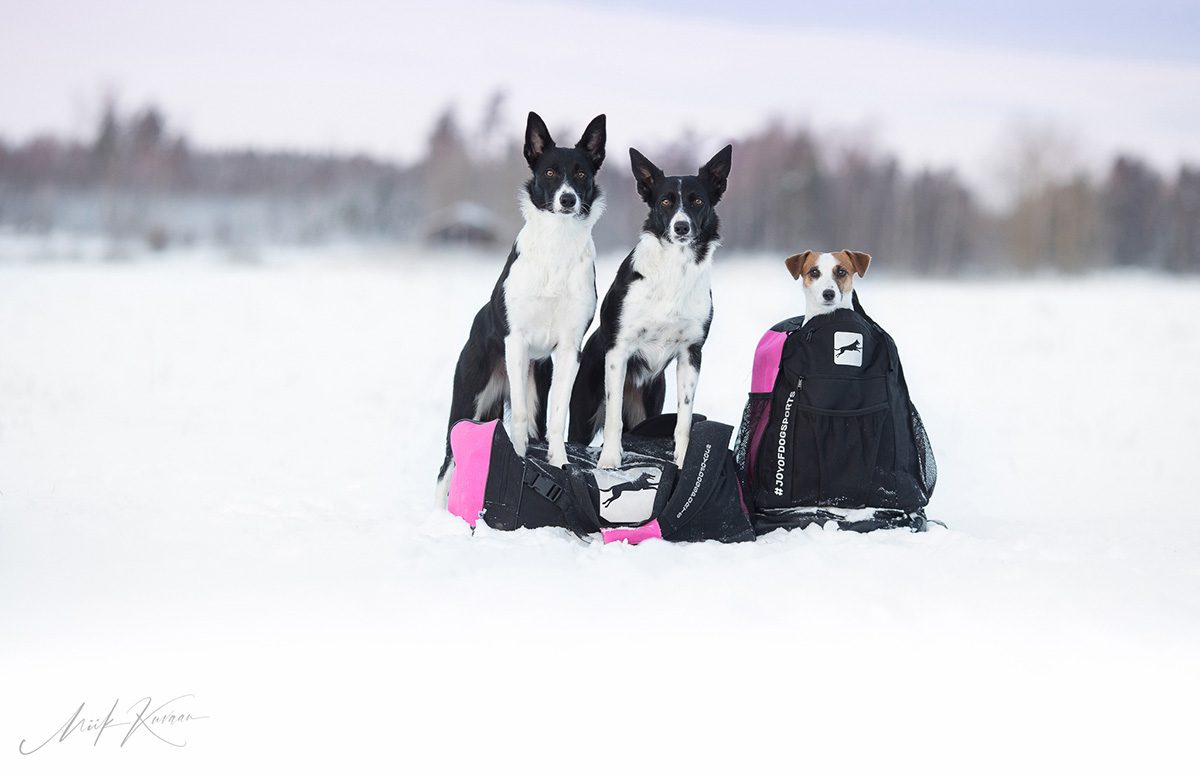 ProPakit pinkit reppu ja laukku