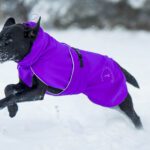 60 cm SporttiPalttoo lila