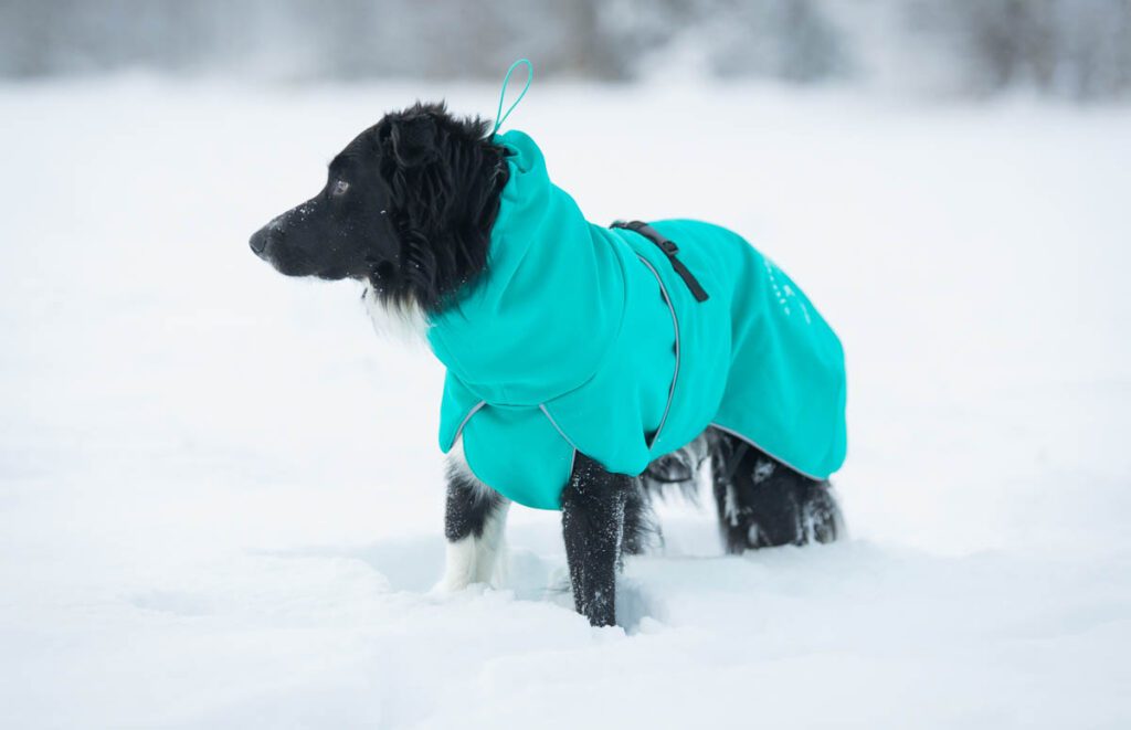 60 cm merenvihreä SporttiPalttoo ja iso bc-uros