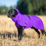 Labradorinnoutajauros ja lila SporttiPalttoo koko 60 cm.jpg