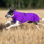 Lila SporttiPalttoo ja bc-uros 55 cm