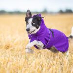 Lila SporttiPalttoo koiran kuoritakki