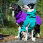 Lila ja merenvihrea SporttiPalttoo koirien sadetakki