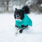 Merenvihrea SporttiPalttoo edesta