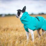 Merenvihrea SporttiPalttoo ja bc-uros koko 55 cm