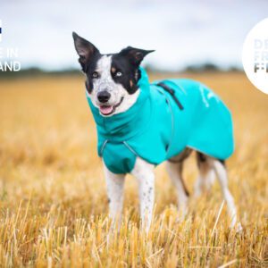 SporttiPalttoo merenvihreä koko 55 cm