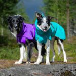 SporttiPalttoo koiran sadetakki kotimainen