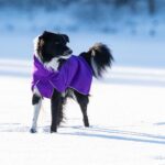 SporttiPalttoo koko 60 cm lila